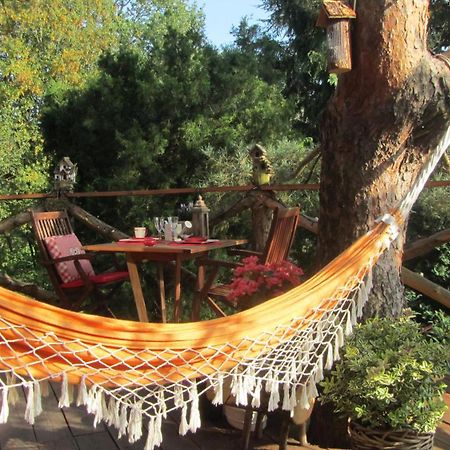 Domaine De La Carrauterie By Terre Insolite Sautin Buitenkant foto