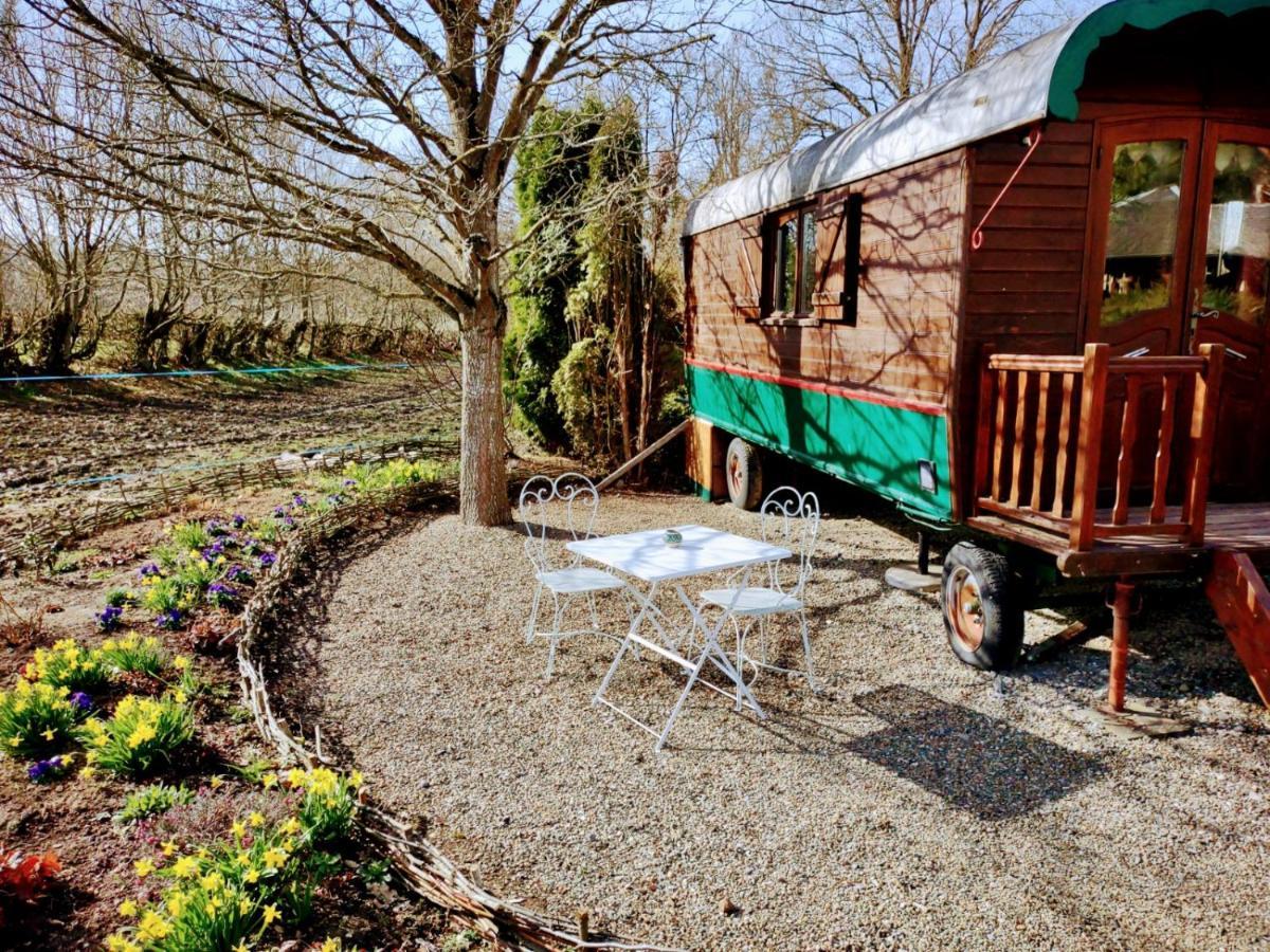 Domaine De La Carrauterie By Terre Insolite Sautin Buitenkant foto
