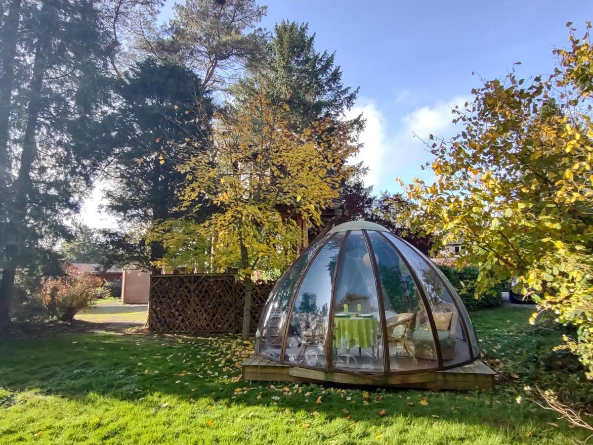 Domaine De La Carrauterie By Terre Insolite Sautin Buitenkant foto