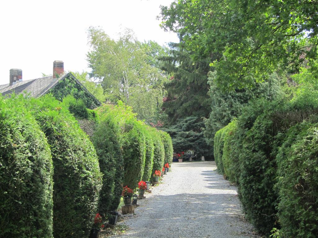 Domaine De La Carrauterie By Terre Insolite Sautin Buitenkant foto